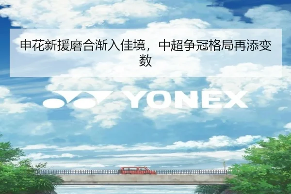 申花新援磨合渐入佳境，中超争冠格局再添变数