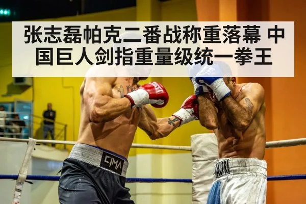 heavyweight boxers face off