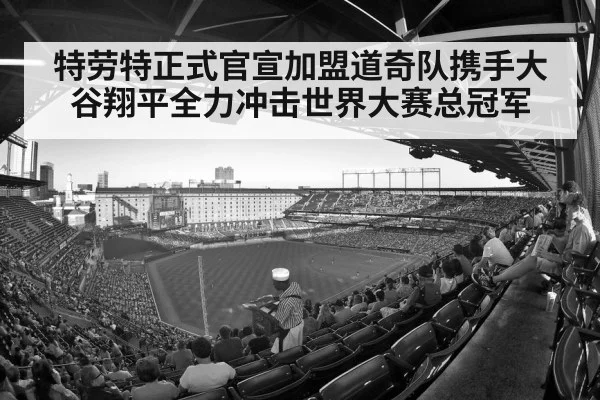 baseball stadium crowd